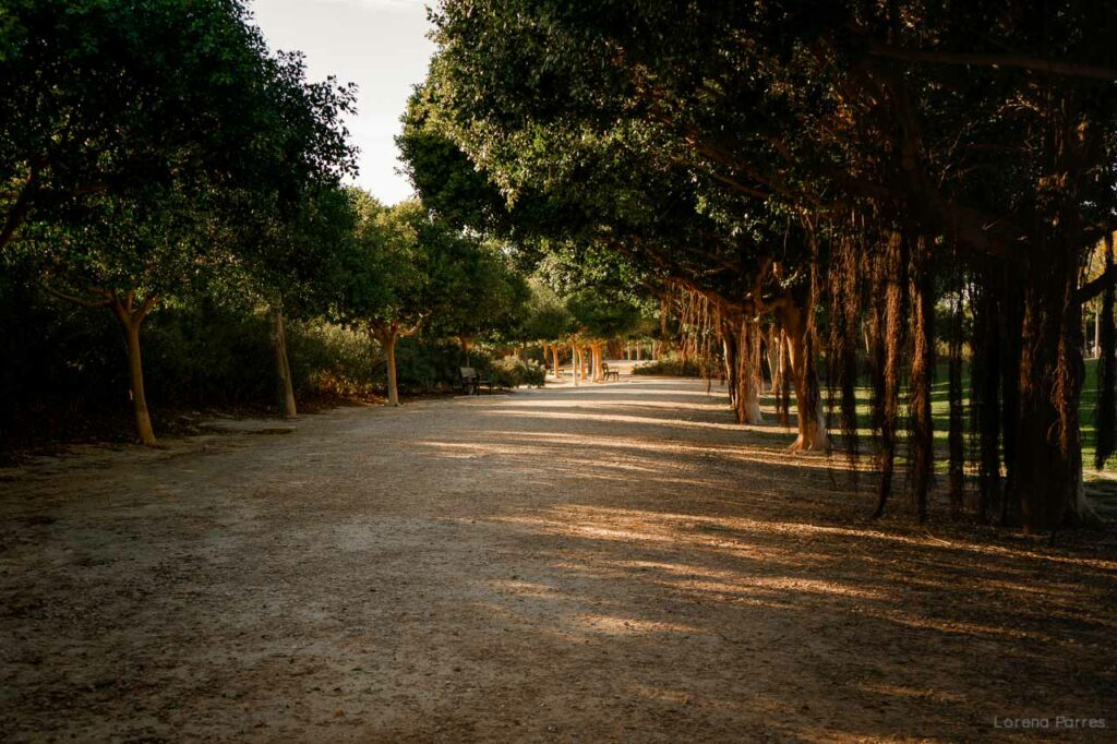 localización en alicante. Arenales del sol